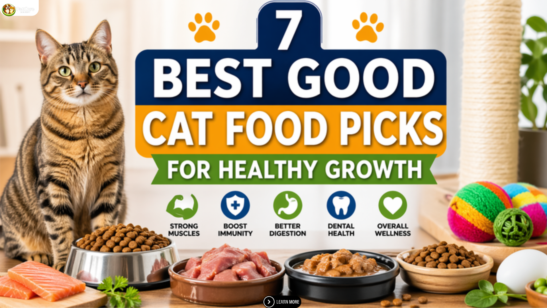 good cat food