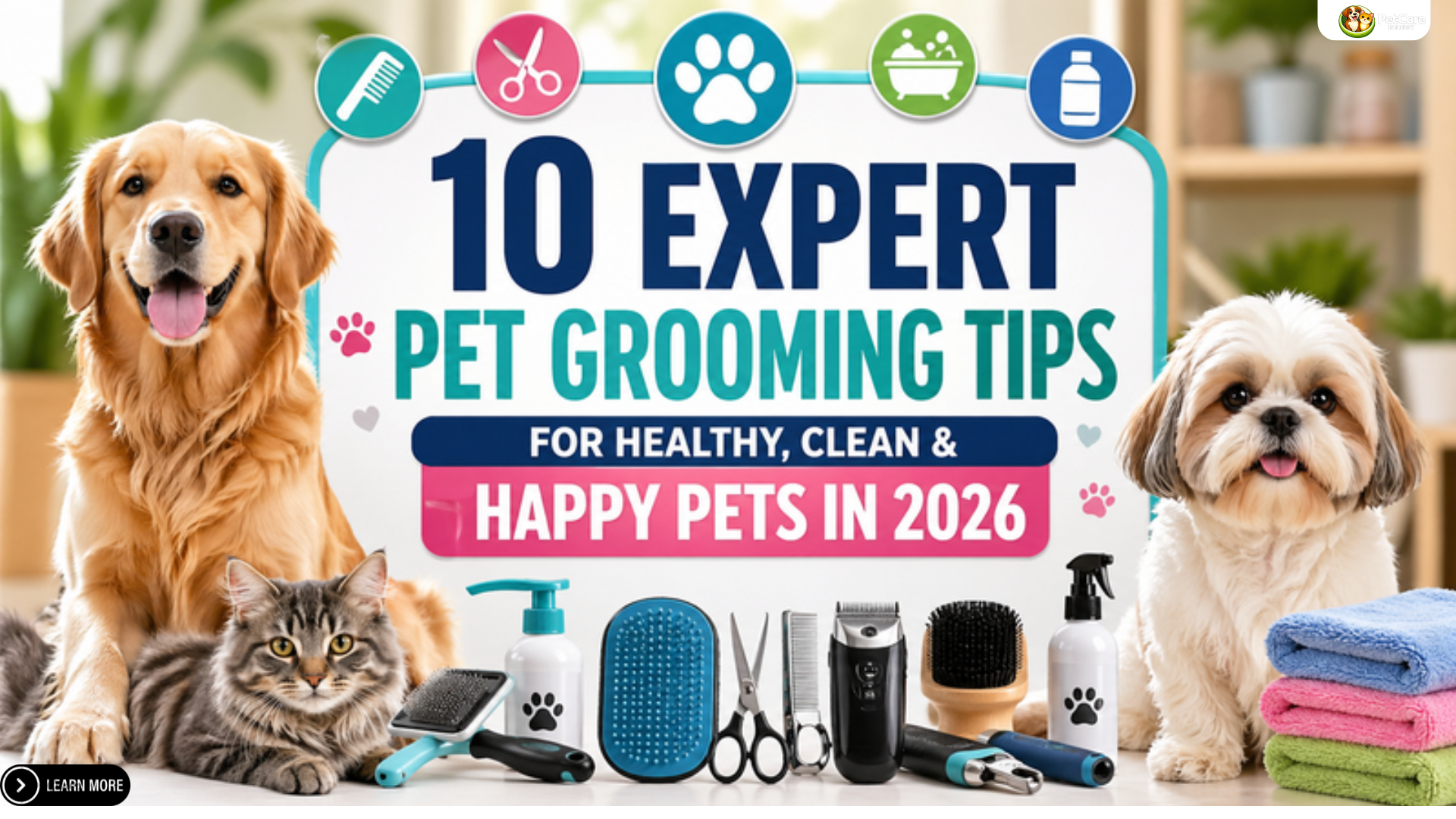 pet grooming tips