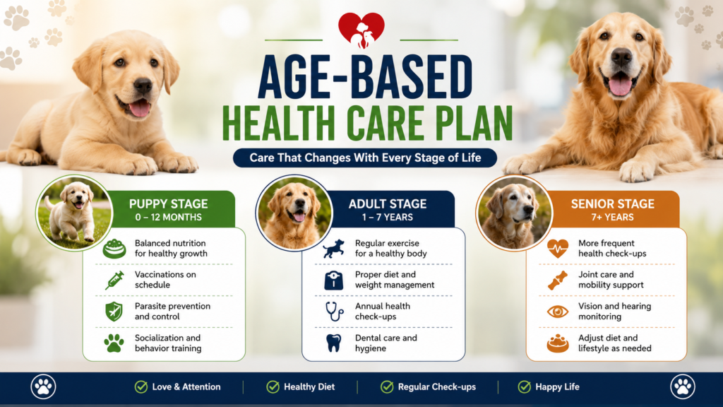 pet health care 