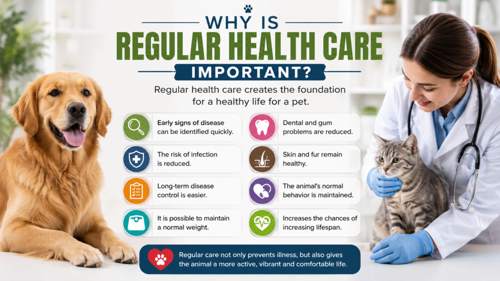 pet health care 