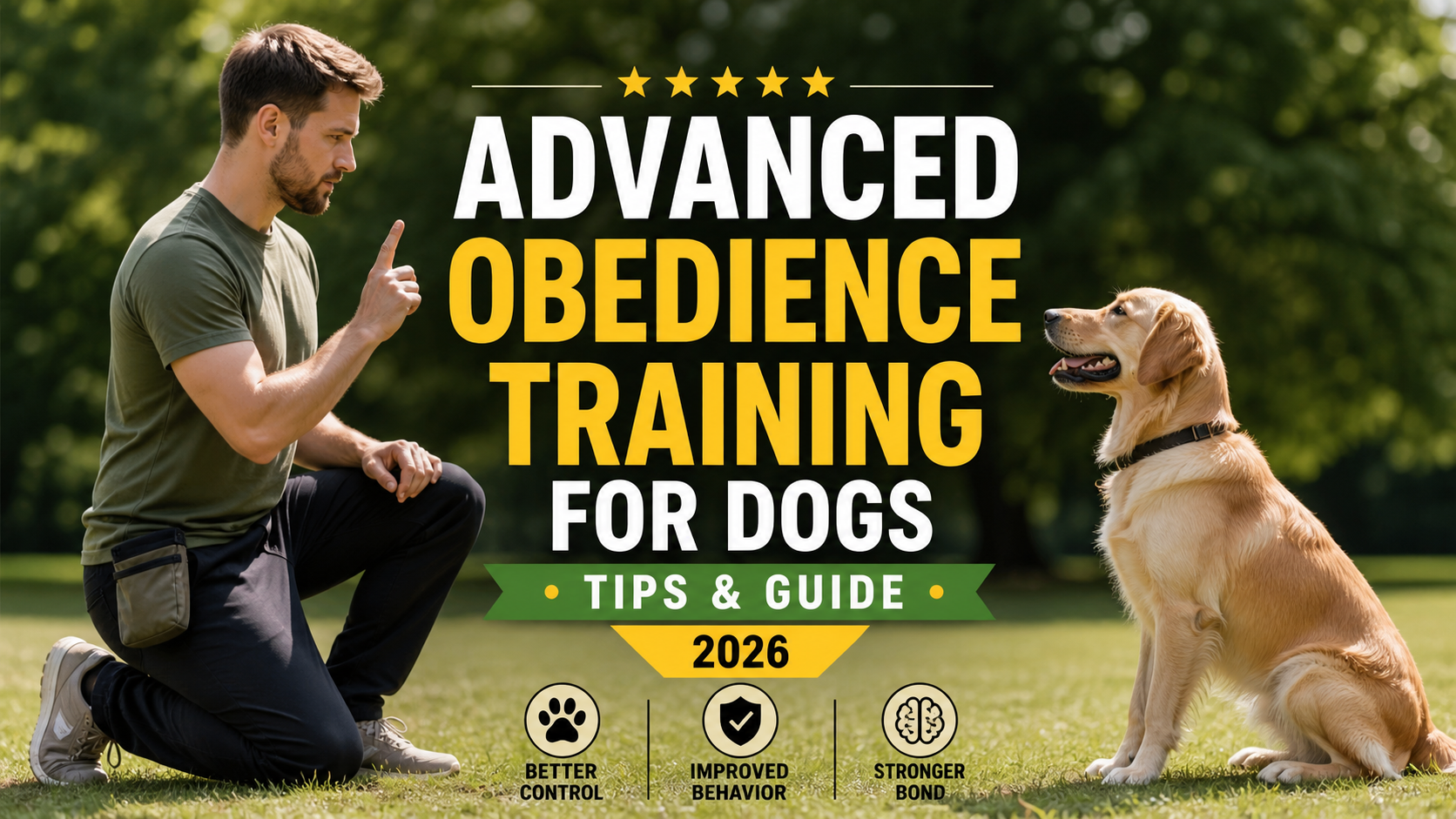 advanced obedience training for dogs