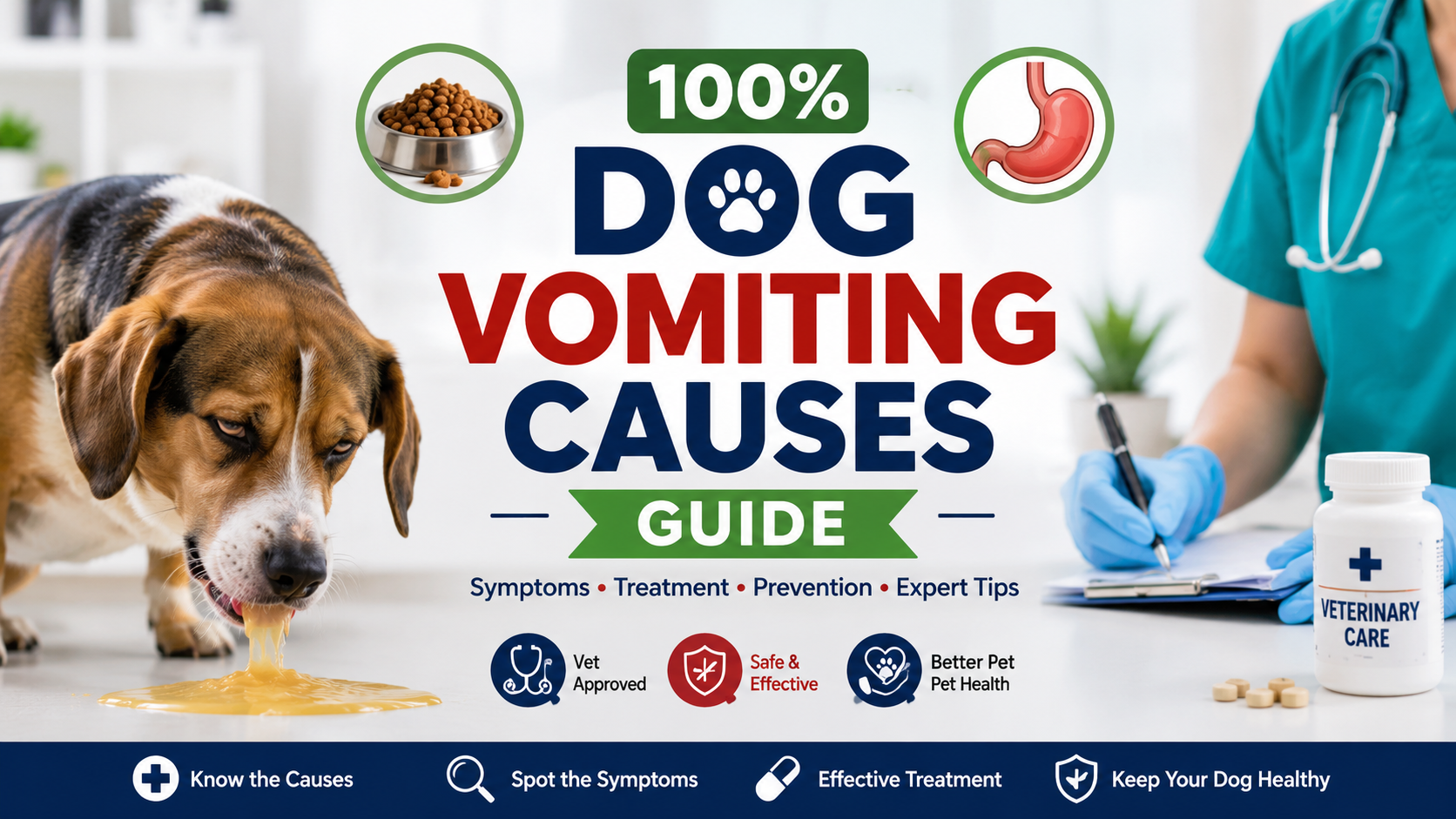 dog vomiting causes