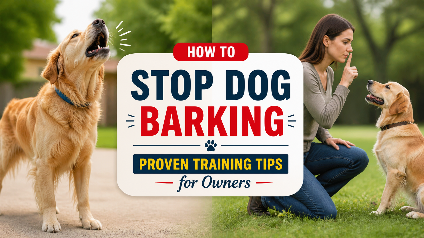 how to stop dog barking