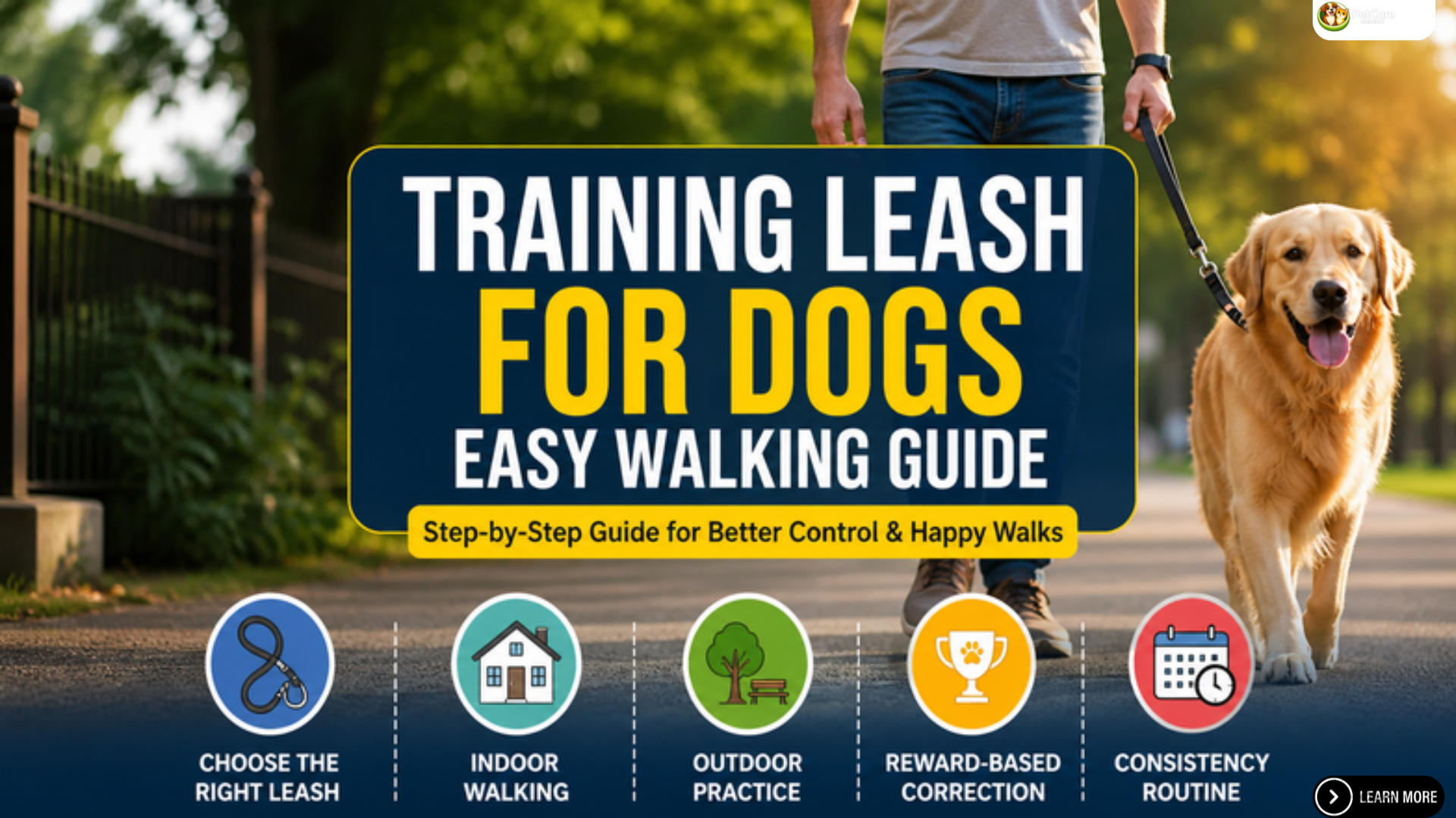 training leash for dogs
