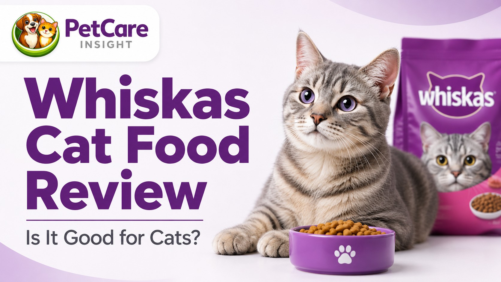 Whiskas Cat Food Review