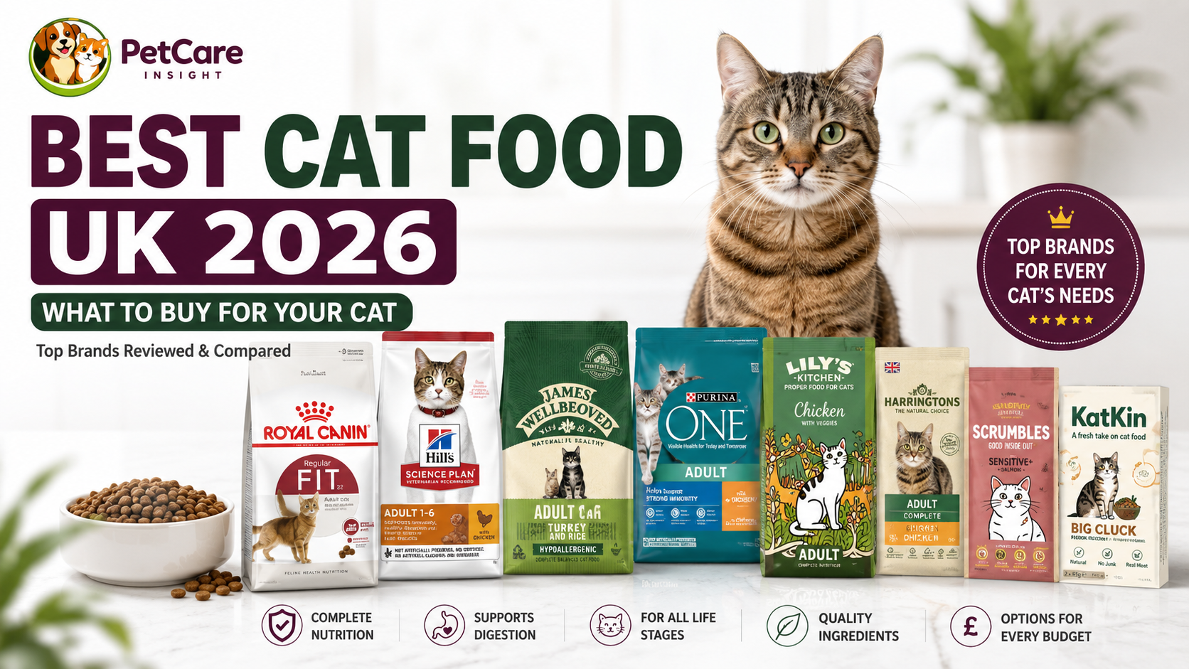 Best Cat Food UK 2026
