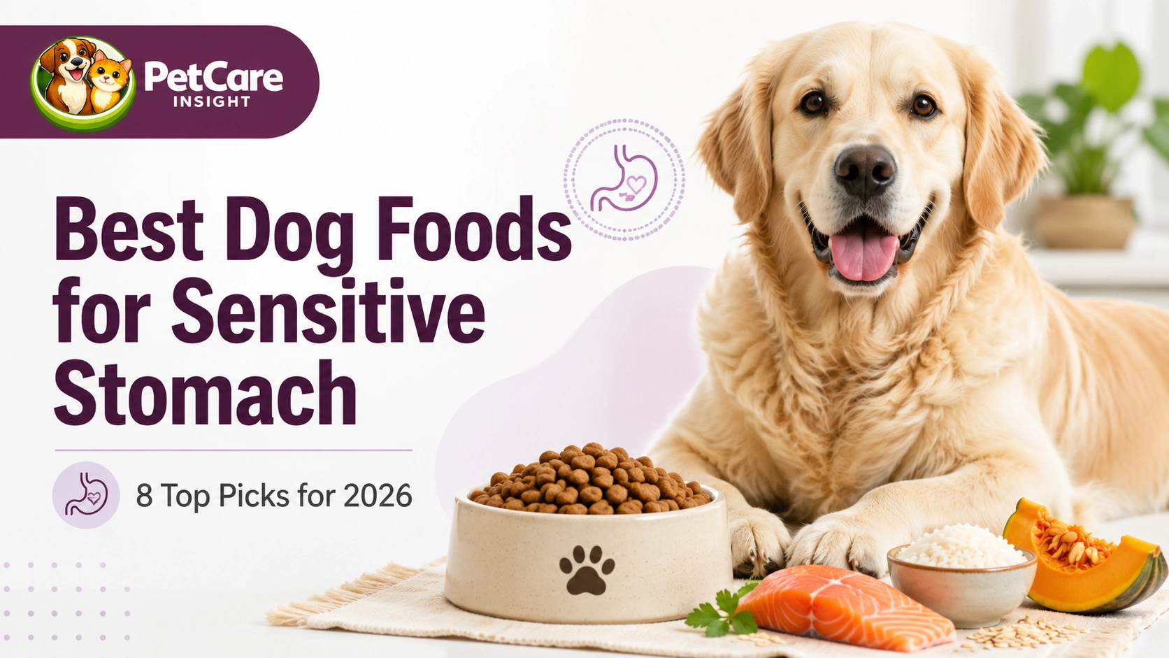 best dog foods for sensitive stomach 2026