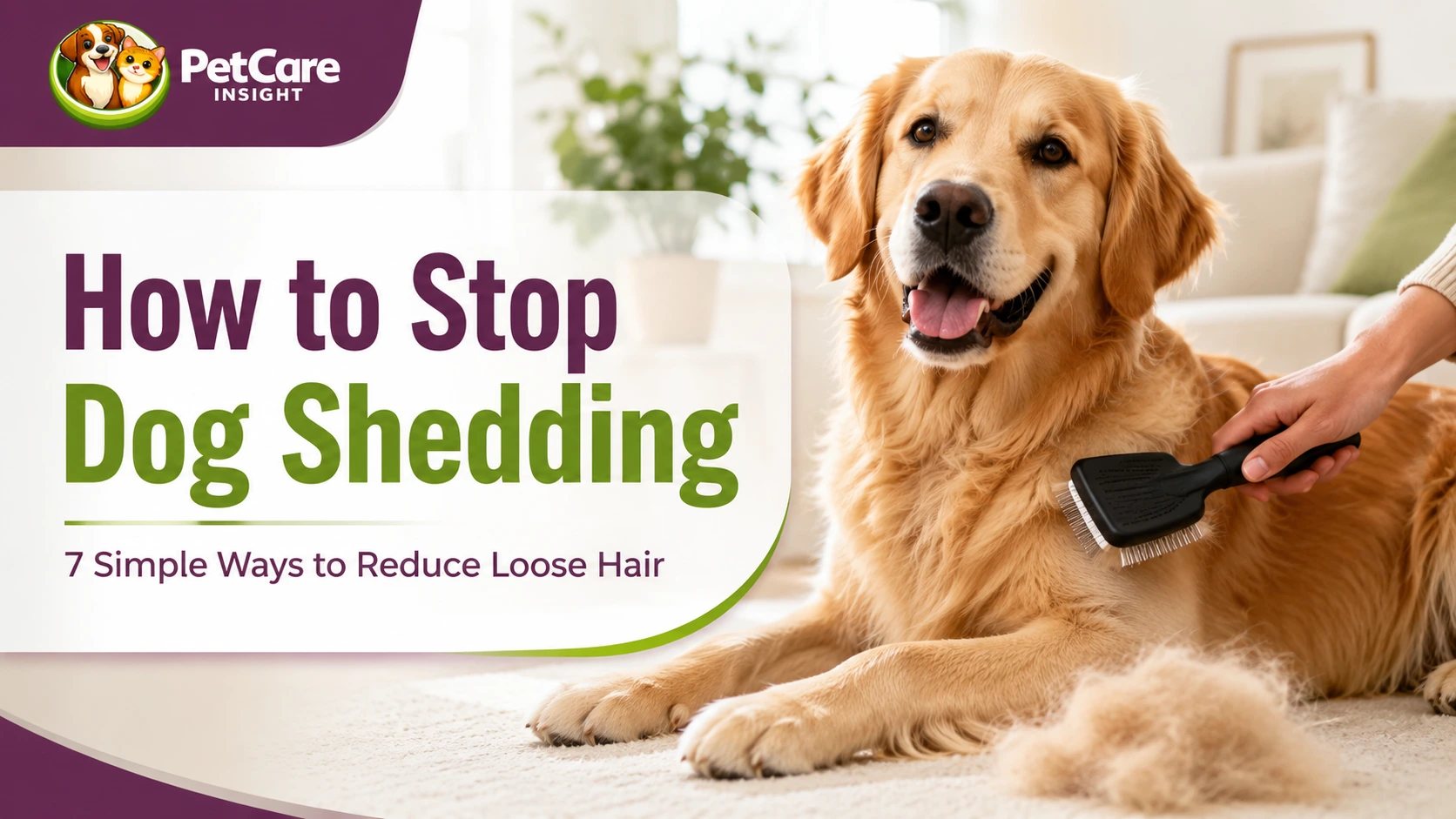 How to stop dog shedding with regular brushing